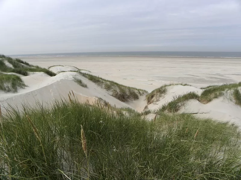 Witte_duinen_BasKers_Flickr