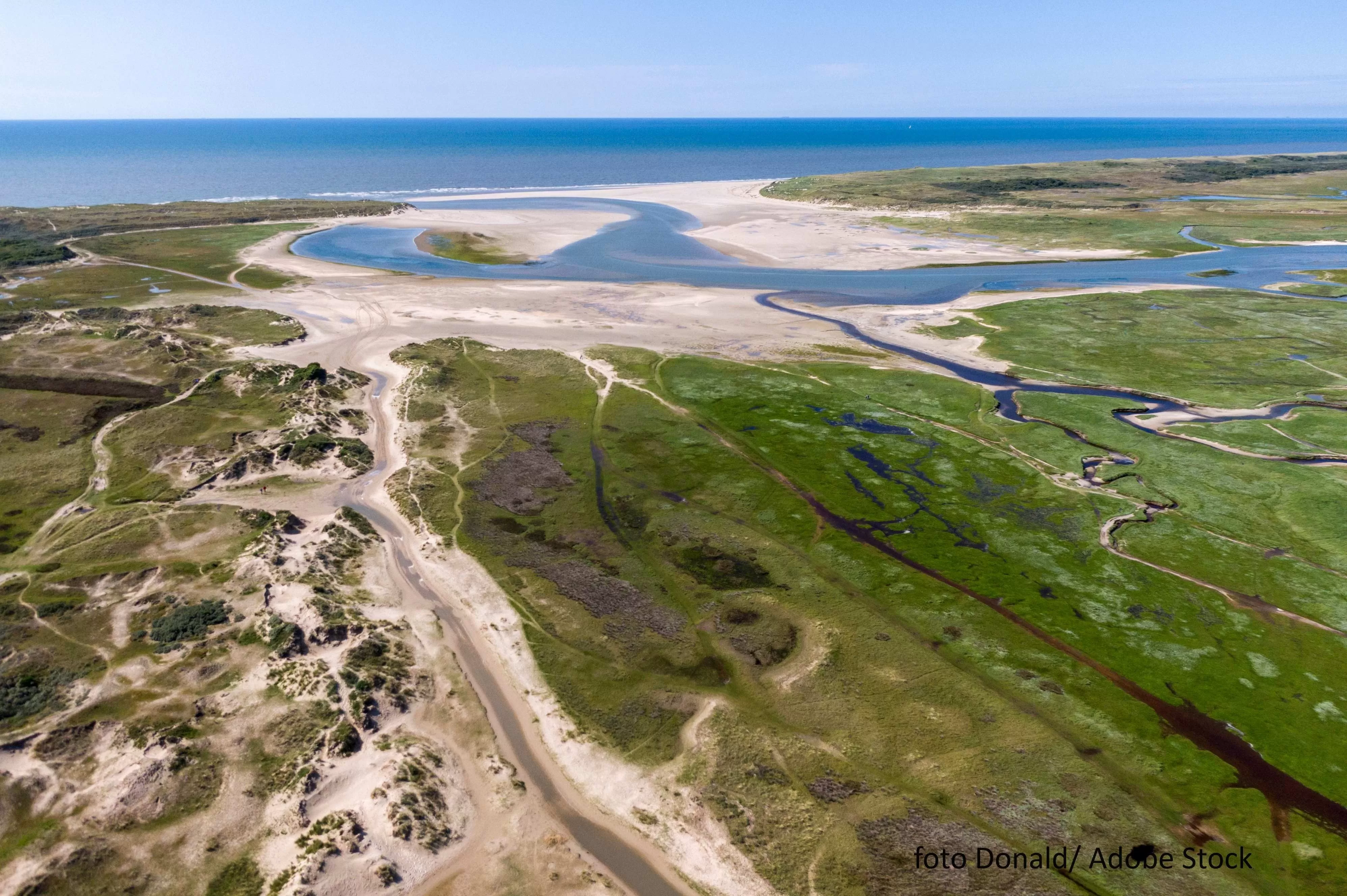 Foto Slufter, Donald Adobe Stock
