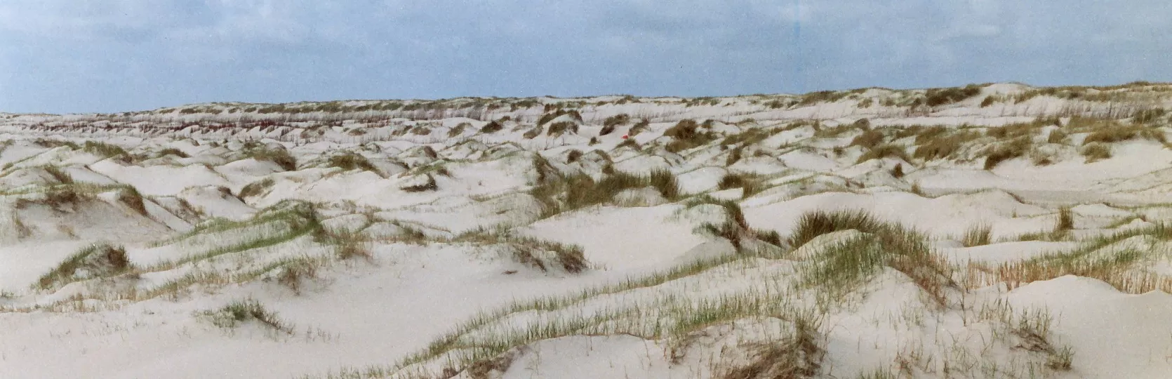 De Hors, Texel