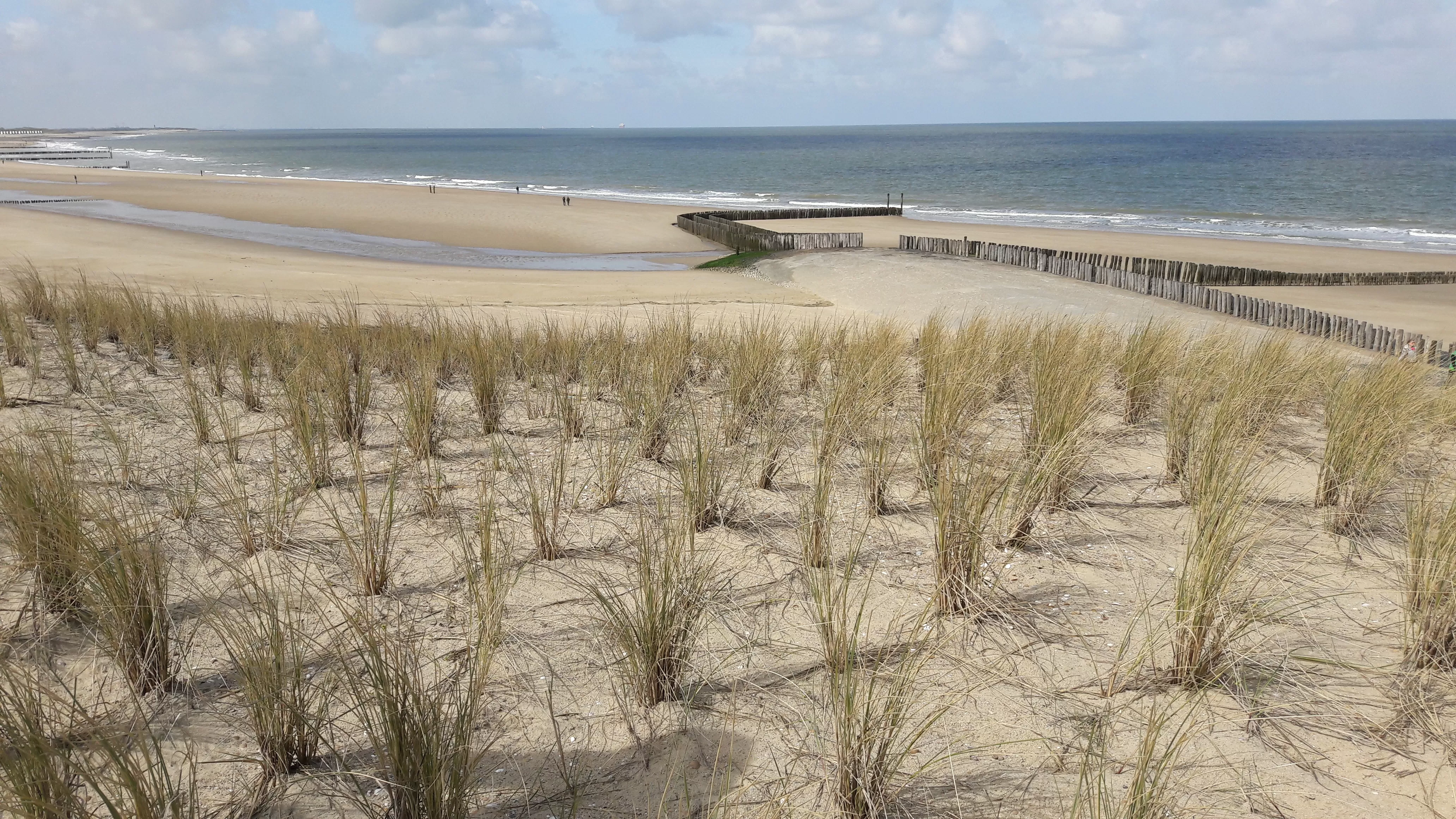ZeeuwsVlaanderen_loffler