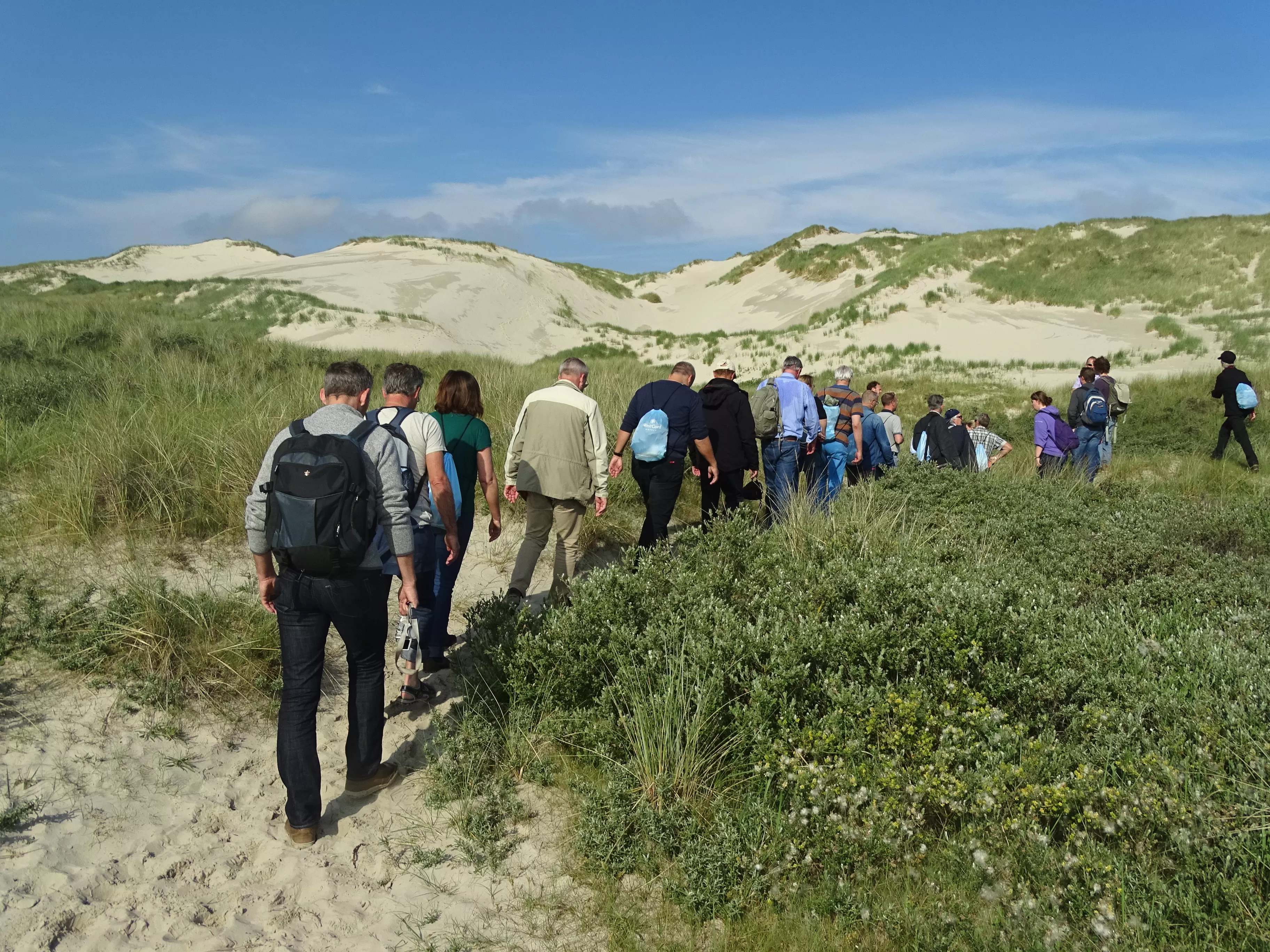 Terschelling_loffler