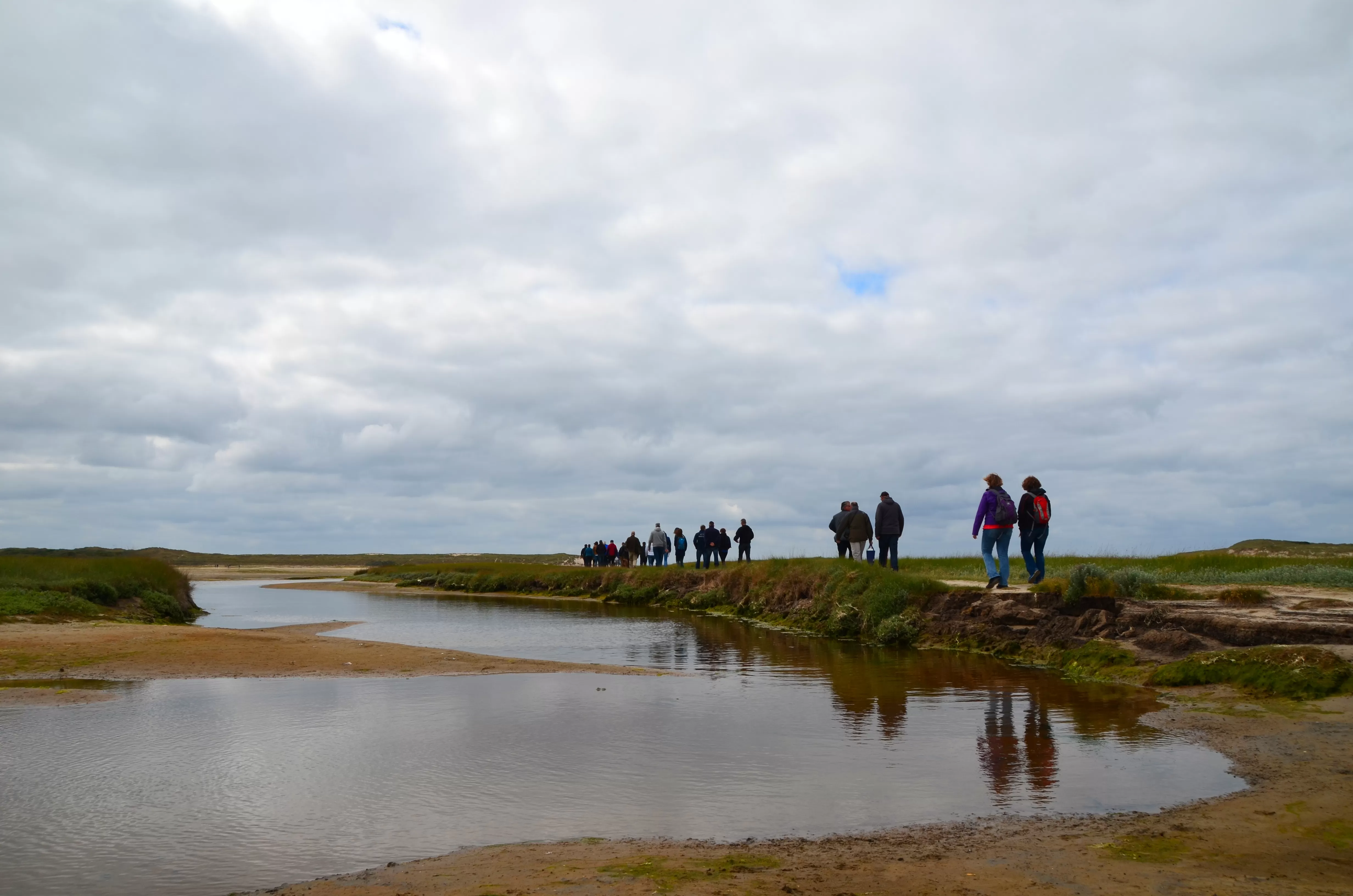 Texel_loffler