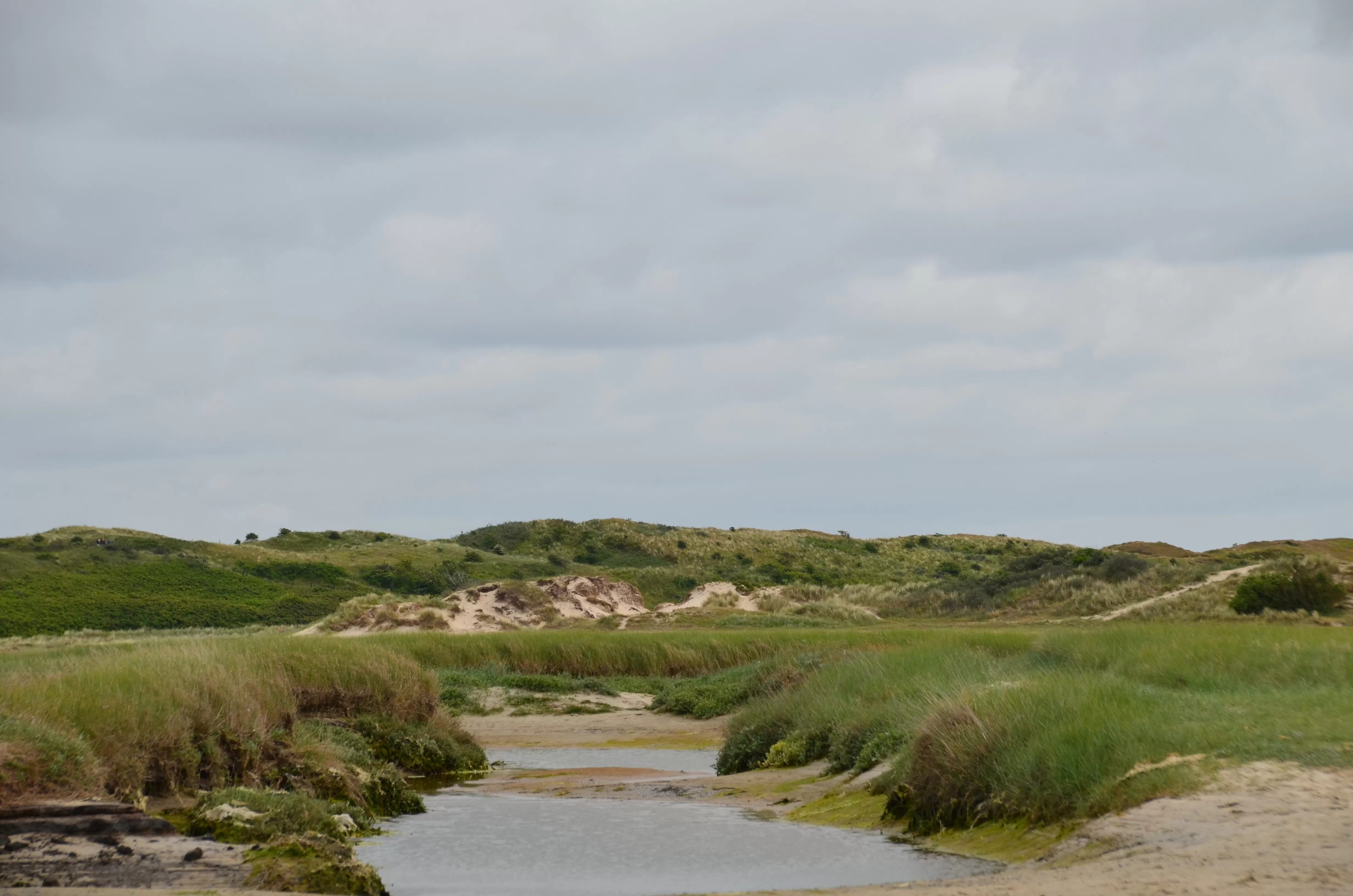 Texel