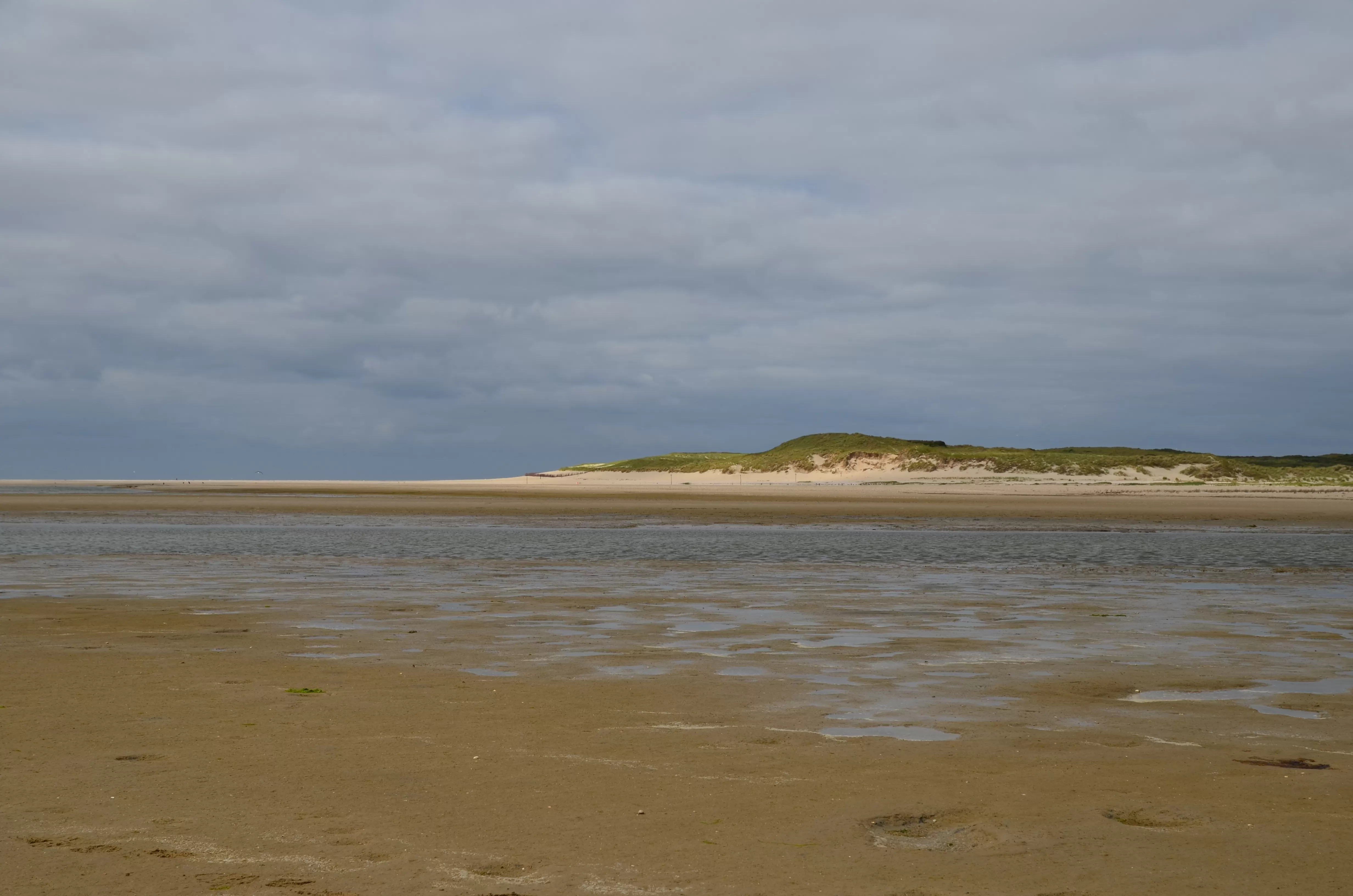 Texel