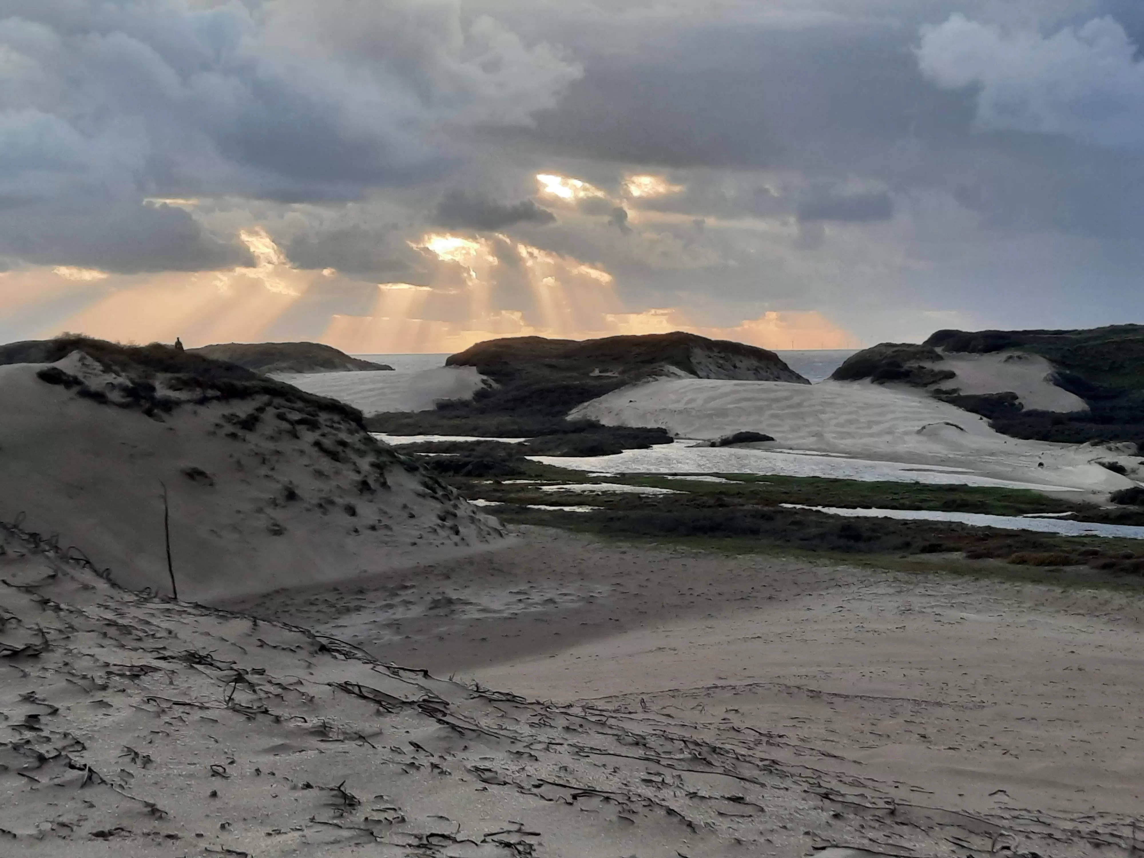 Kerven_foto_Loffler